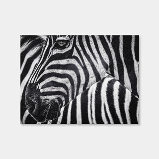 AUTO-MOCKUP WHITE | Zebra | 1 Piece | Gallery Wrap Canvas | group=4x3