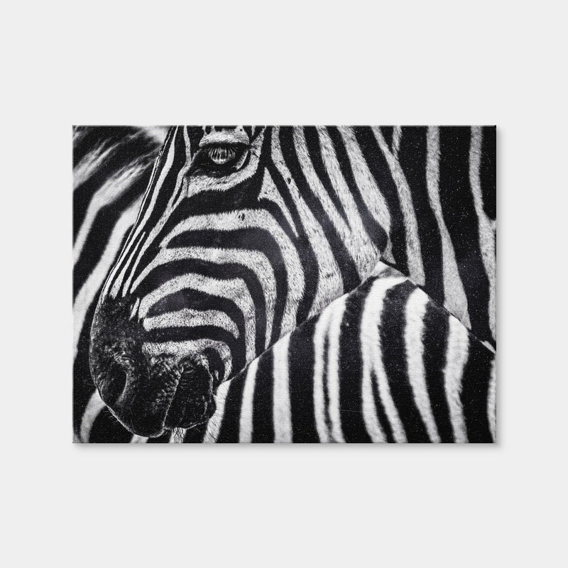 AUTO-MOCKUP WHITE | Zebra | 1 Piece | Gallery Wrap Canvas | group=4x3