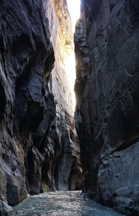 Zion Narrows Wall Art