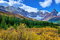autumn mountains Wall Art