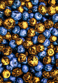 blueberries Wall Art