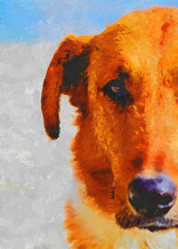 dog painting Wall Art