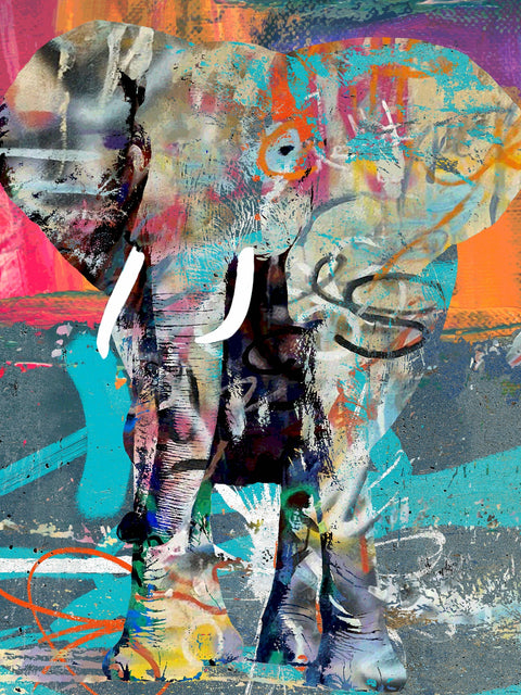 elephant graffiti Wall Art