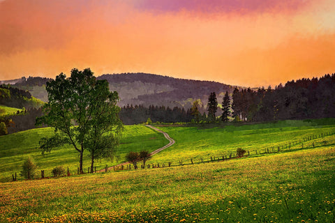 evening pasture Wall Art