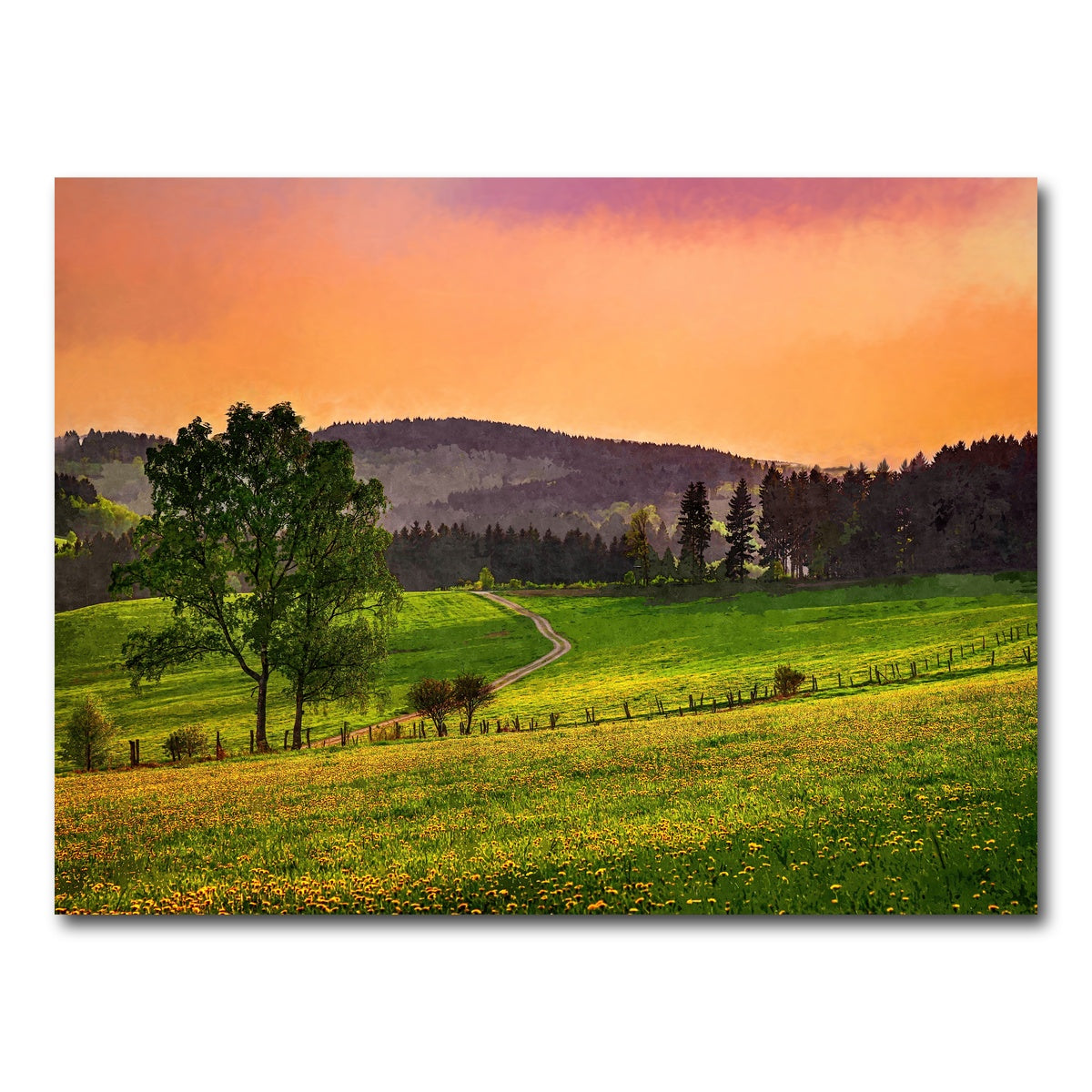 AUTO-MOCKUP WHITE | evening pasture | 1 Piece | Gallery Wrap Canvas | group=4x3