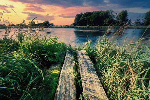 evening swim Wall Art