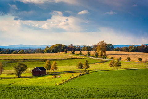fields and hills in York County Wall Art