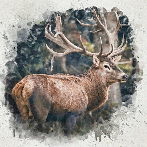 forest prince Wall Art