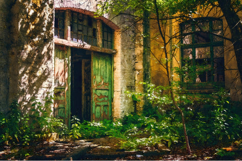 forgotten entrance Wall Art