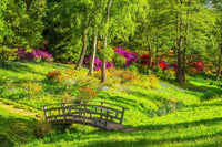 garden footpath bridge Wall Art