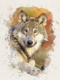 gray wolf 3 Wall Art