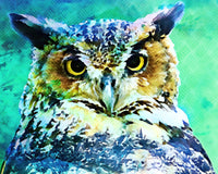 great horned owl Wall Art