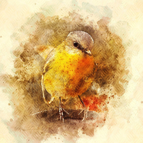 little bird Wall Art