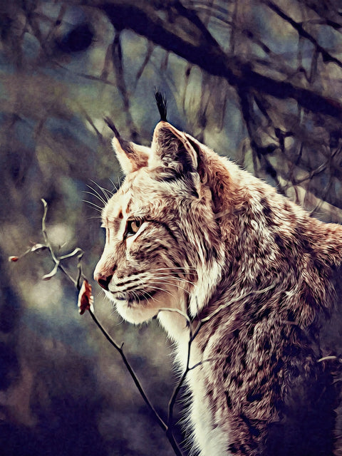 lynx Wall Art