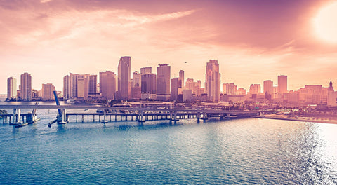 miami skyline Wall Art