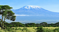 mount kilimanjaro Wall Art