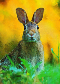 rabbit painting Wall Art