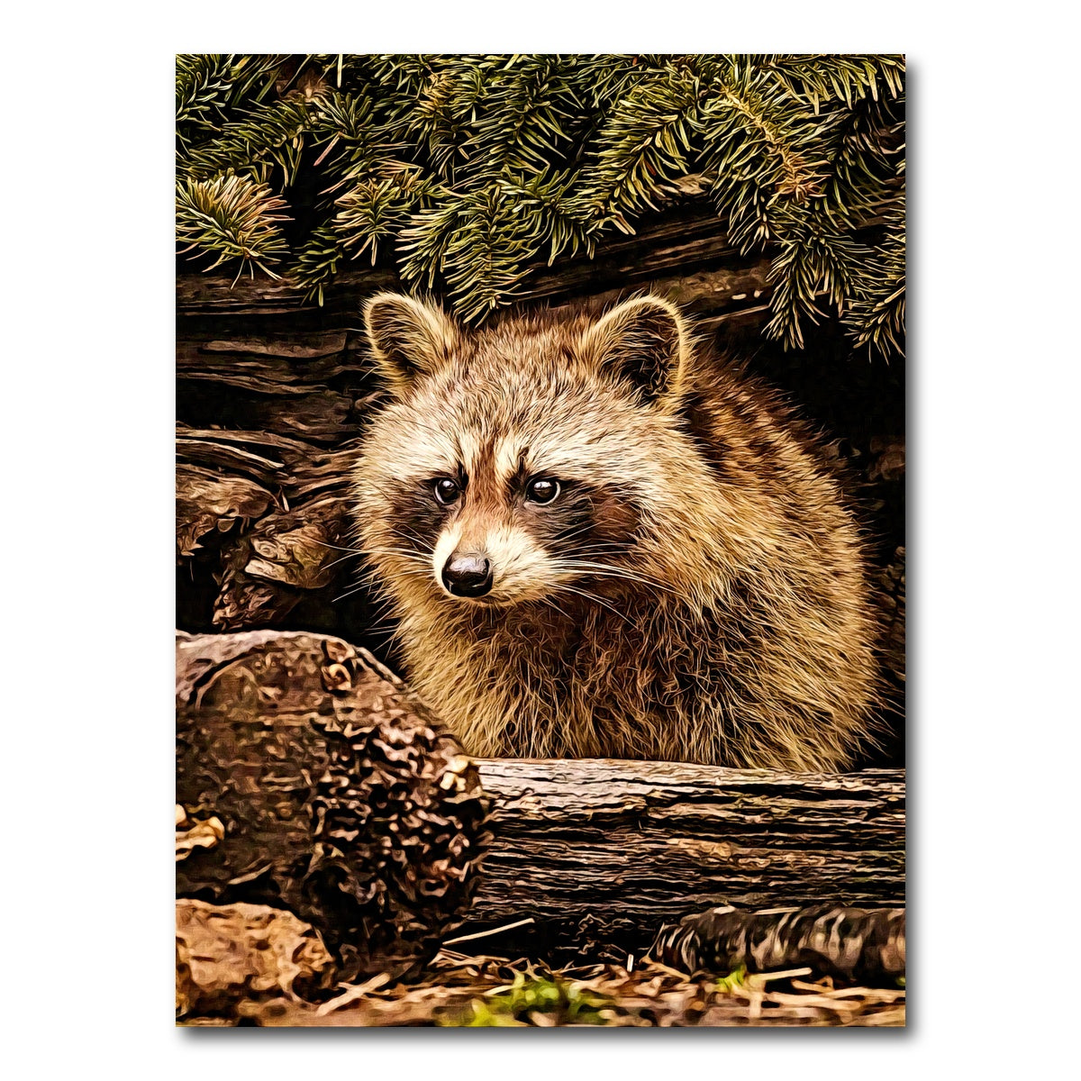 AUTO-MOCKUP WHITE | raccoon | 1 Piece | Gallery Wrap Canvas | group=3x4