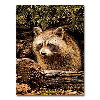 AUTO-MOCKUP WHITE | raccoon | 1 Piece | Gallery Wrap Canvas | group=3x4