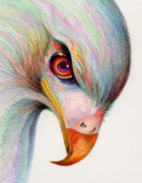 raptor's watchful eye Wall Art