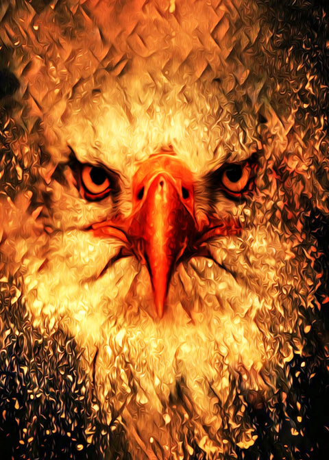 the eagle Wall Art