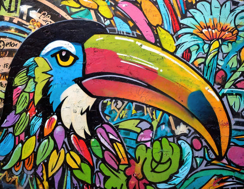 toucan graffiti Wall Art