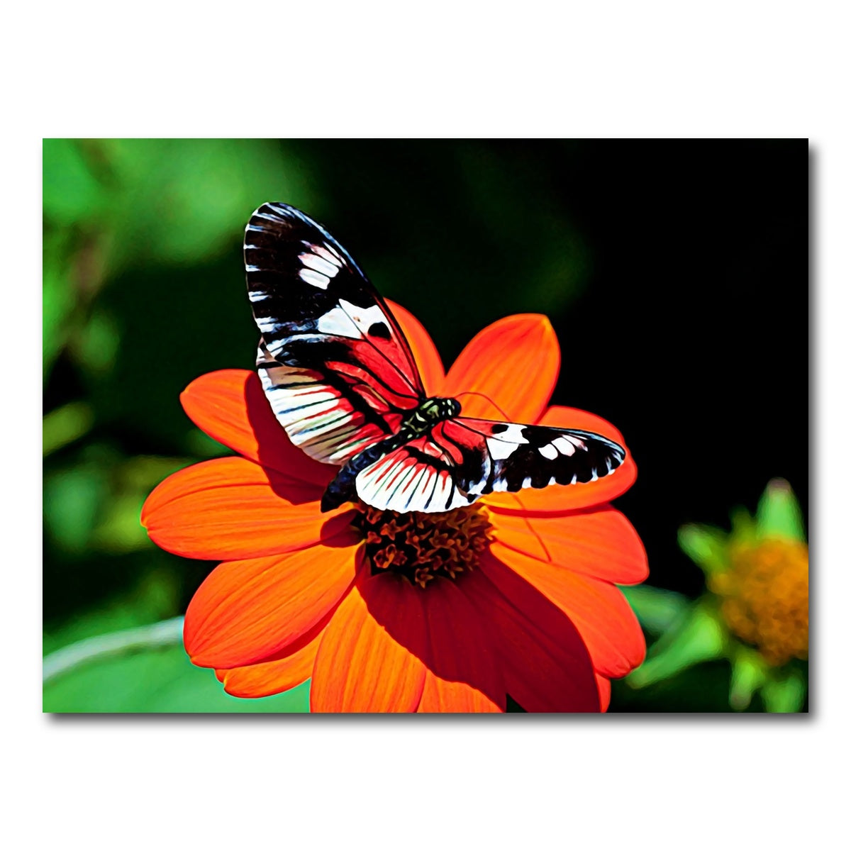 AUTO-MOCKUP WHITE | vibrant butterfly | 1 Piece | Gallery Wrap Canvas | group=4x3
