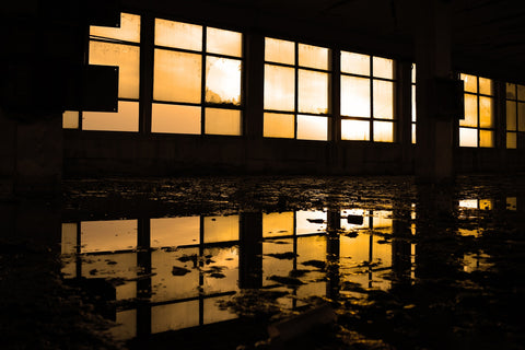 windows Wall Art
